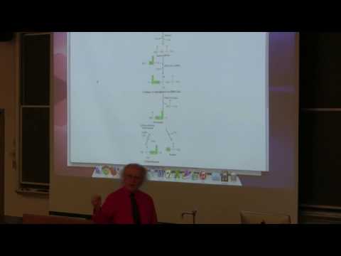 Ahern's BB 350 at OSU - 31. Fatty acid oxidation