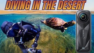 Insta360 X5 - Desert Oasis Dive