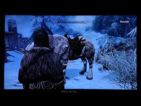 SKYRIM The Elder Scrolls - J'ZARGO'S EXPERIMENT/ MACE ETIQUETTE  #628