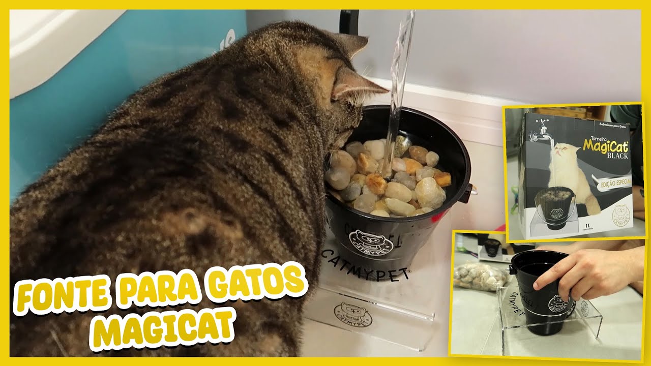 FONTE PARA GATOS MAGICAT CATMYPET: O MELHOR BEBEDOURO PARA GATOS?
