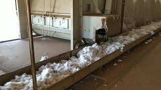 COMO É FEITO O BENEFÍCIAMENTO DO ALGODÃO