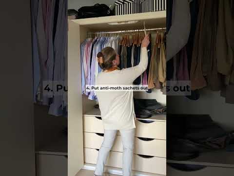 5 Easy Ways To Get Rid Of Moths