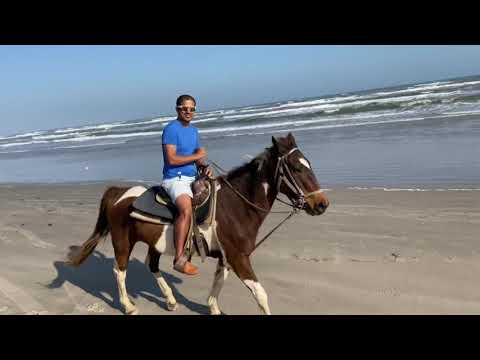 Horse riding in the beach