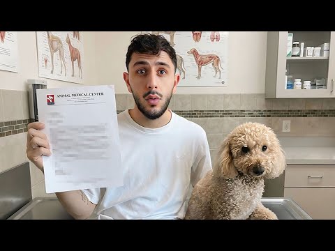 i got unexpected news from the doctor..