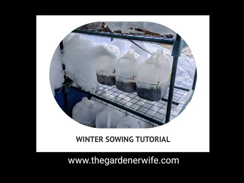 Winter Sowing Demonstration
