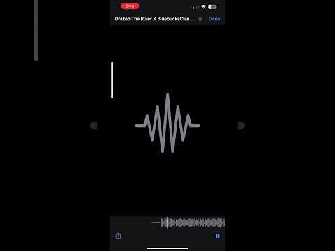 Drakeo The Ruler X BlueBucksClan - Penthouse (Legendary)