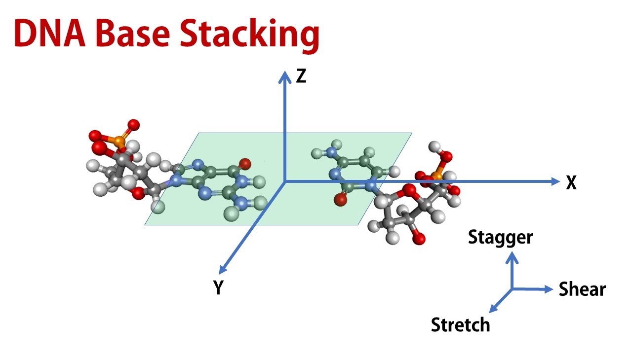 Base Stacking in DNA: Base Pair and Base Pair Step-Parameters