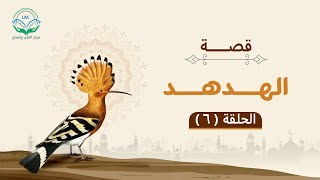 صورة قصة الهدهد | الحلقة السادسة | | د.شريف طه يونس