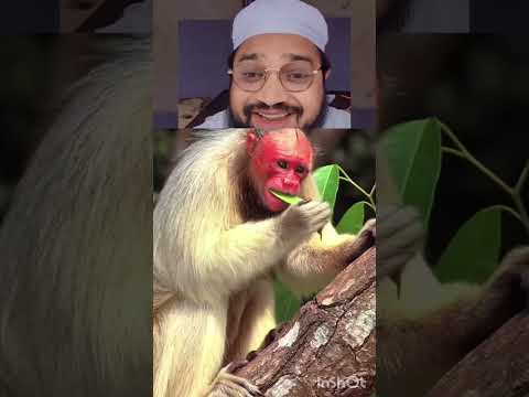 subhan allah😳☝️
