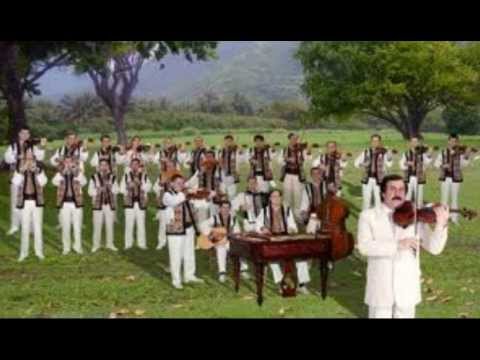Orchestra 'Lautarii' -Hora Mare
