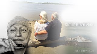 Stingaree | Charlie Musselwhite