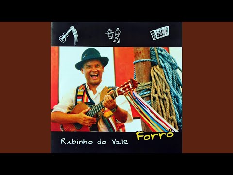 No Meu Forró - Rubinho do Vale