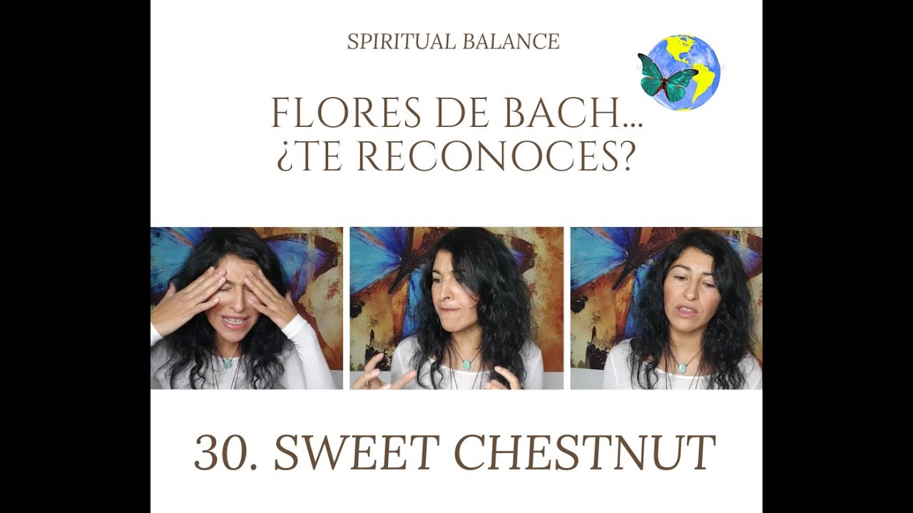 Flores de Bach 30. SWEET CHESTNUT ¿Te reconoces o reconoces a alguien