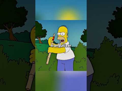 Lisa went to Zoo #simpsons