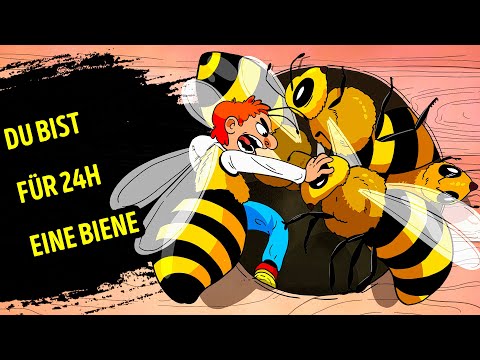Was passiert, wenn du für 24h eine Biene wärst