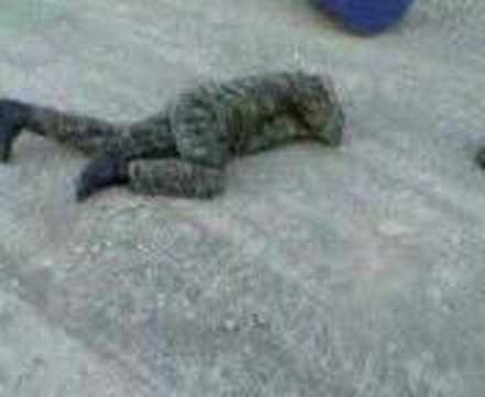 skola split - spinut 4ever