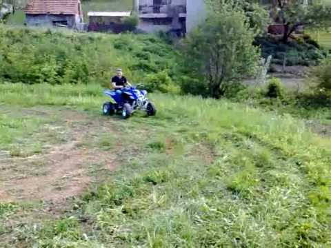 129.DEČKI ŽUTNICE - Šipuš -  KAMIKAZA