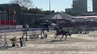 Fernando 3e WordCup CSI3* Budapest