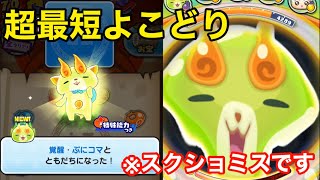 過去最短よこどり！無課金無特効で"覚醒・ぷにコマ"をゲットせよ！   妖怪ウォッチぷにぷに#151