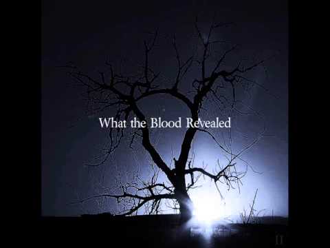 What the Blood Revealed - A Million Explosions Live Inside Everyone