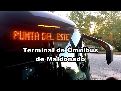 Terminal Maldonado, 20.01.2026