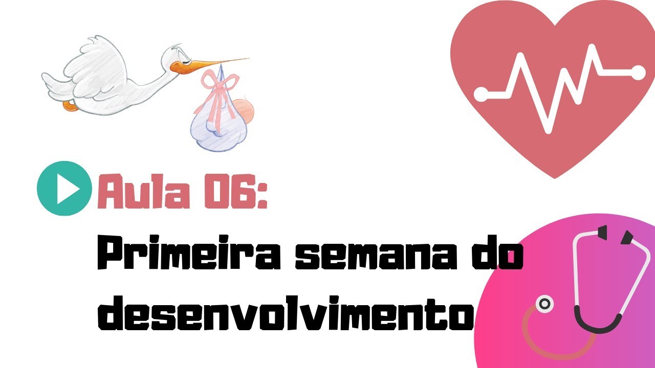 EMBRIOLOGIA HUMANA | AULA 06 | PRIMEIRA SEMANA DO DESENVOLVIMENTO EMBRIONÁRIO