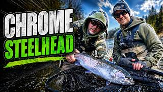 BANK Fishing for WILD Steelhead… And It Paid Off