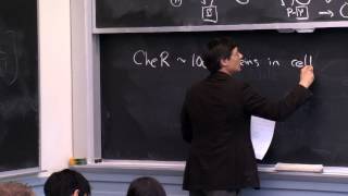 Robustness and Bacterial Chemotaxis