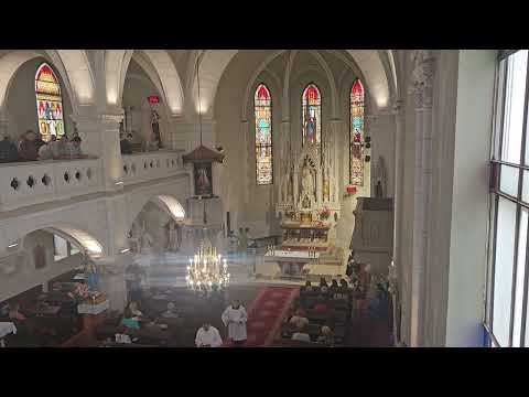 Jak smiem ísť k stolu tvojmu, Agnus JKS 256