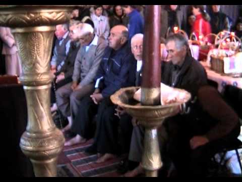 SPALAREA PICIOARELOR - STEFAN VODA