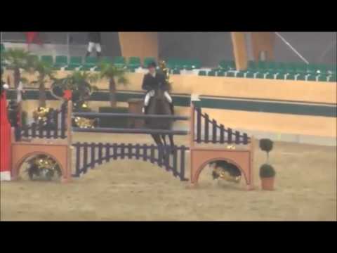 FOR SALE *2005 mare by  Cor de brillant - Ratio JUMP OFF
