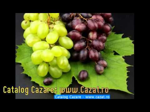 Cazare Horodniceni, Suceava - Cazat.ro