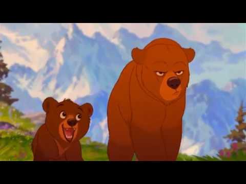 Tierra de Osos / Hermano Oso - En Marcha Estoy (Latino)