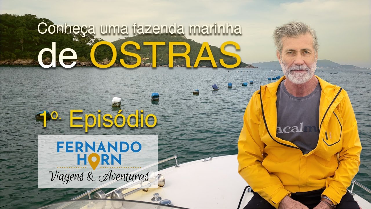 Visita a uma fazenda marinha de ostras na Ponta do Papagaio