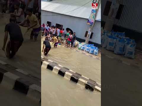 বৃষ্টির পানিতে ঢাকা-টাঙ্গাইল মহাসড়কে মাছ ধরার উৎসব!