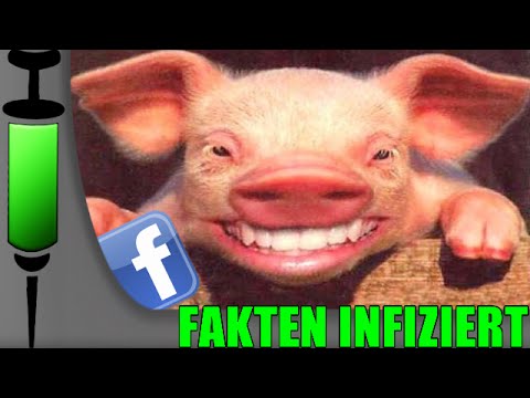 perverse Schweine auf Facebook - reallife Story | FAKTEN INFIZIERT #10