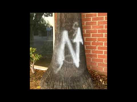 Nation - Not The Only One