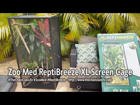 TheChanClan: Zoo Med ReptiBreeze Open Air Screen Cage XL - Demonstration & Review