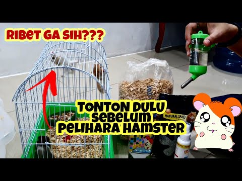 TIPS MEMELIHARA HAMSTER #hamster #tipspeliharahamster #caramerawathamster