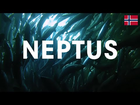 Møt HATO NEPTUS – en revolusjon innen lakseoppdrett