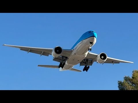 KLM Boeing 777-206(ER) Amsterdam (AMS) To Las Vegas (LAS) Landing 26L PH-BQP @KLM