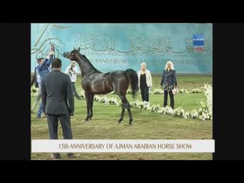 Ajman 2017 - Class 9c