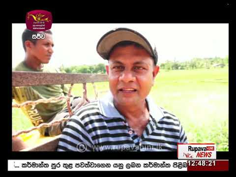 2020-11-21 | Rupavahini Sinhala News 12.30 pm