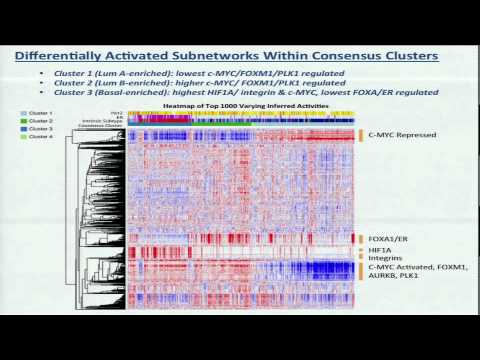SuperPathway Analyses of Luminal and Basaloid Breast Cancers... - Christopher Benz