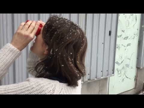 marie-noëlle Of The Record - algo precioso (Official music video)