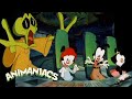 Animaniacs But It S Just Pranks For 17 Minutes Throwback Thursday GenerationWB
