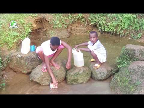 The Clean Water Project Kumba II Living Green Cameroon