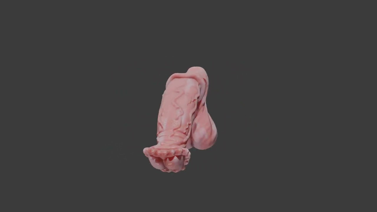 Albino Horse Penis Sextoy Rigged 3D Model