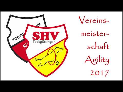 VM 2017 Finale