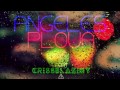 Angeles feat. Criss Blaziny - Ploua 